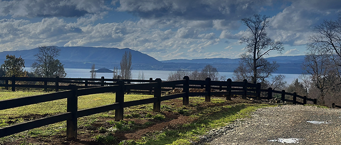 vista_01